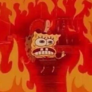 Meet your Posher, Tessa